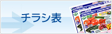 チラシ表